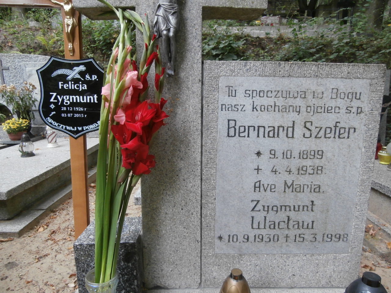 Bernard SZEFER Gdynia - Grobonet - Wyszukiwarka osób pochowanych