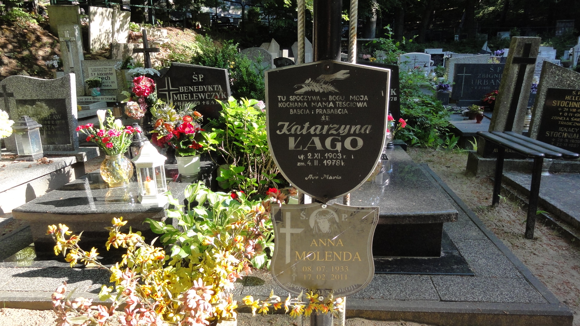 Katarzyna ŁAGO 1903 Gdynia - Grobonet - Wyszukiwarka osób pochowanych