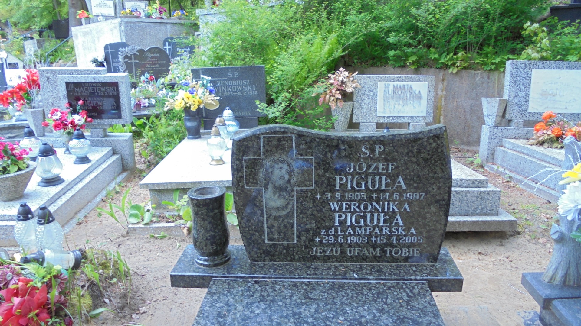 Weronika PIGUŁA 1903 Gdynia - Grobonet - Wyszukiwarka osób pochowanych