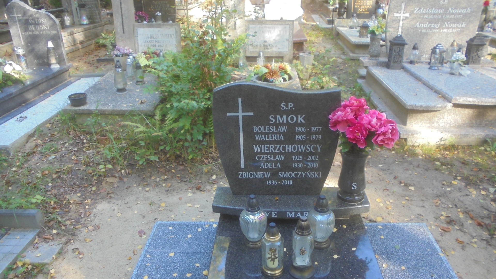 Czesław WIERZCHOWSKI 1925 Gdynia - Grobonet - Wyszukiwarka osób pochowanych