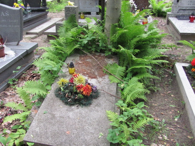 Ryszard SPÓREK 1928 Gdynia - Grobonet - Wyszukiwarka osób pochowanych