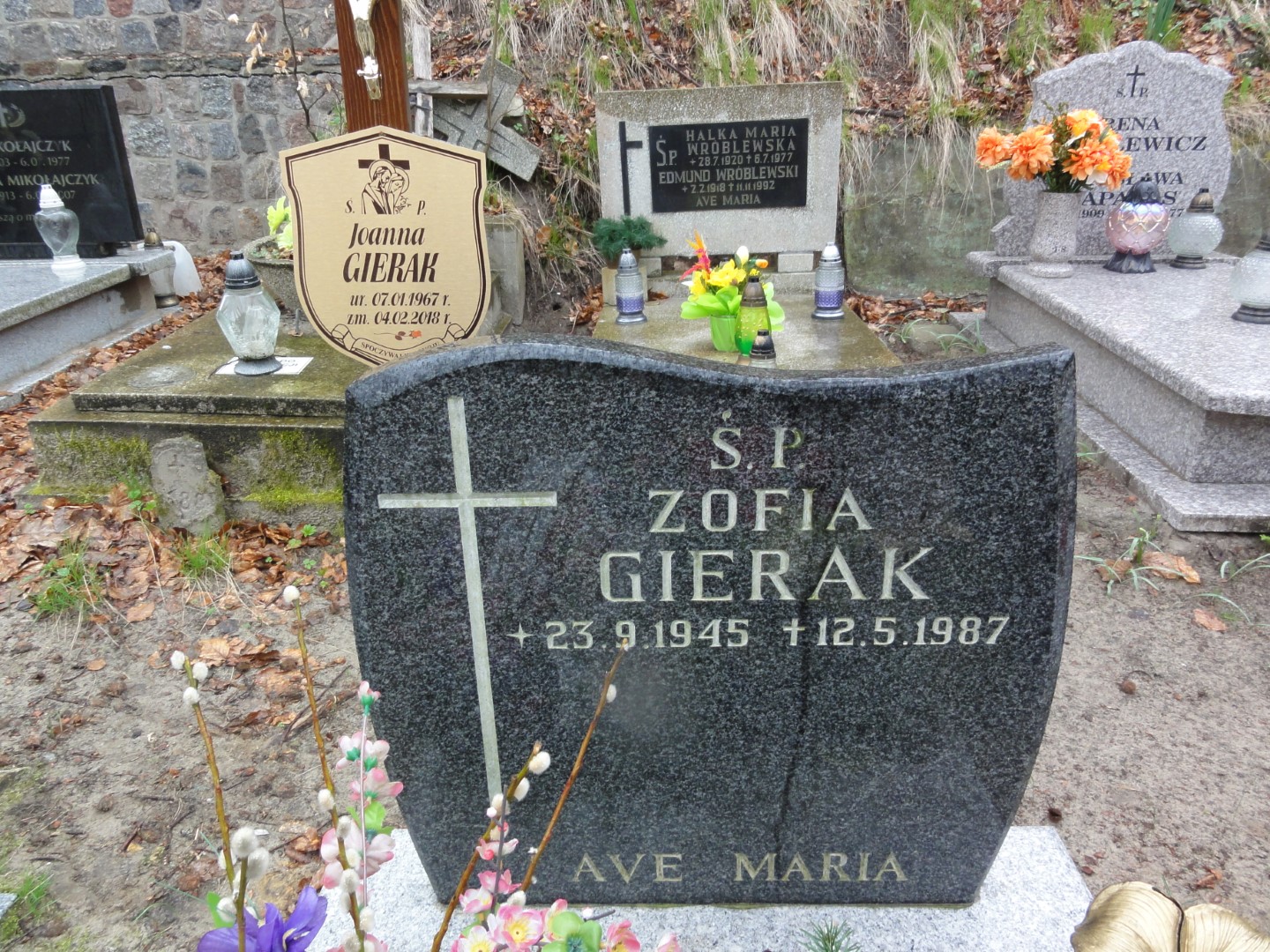 Zofia GIERAK 1945 Gdynia - Grobonet - Wyszukiwarka osób pochowanych