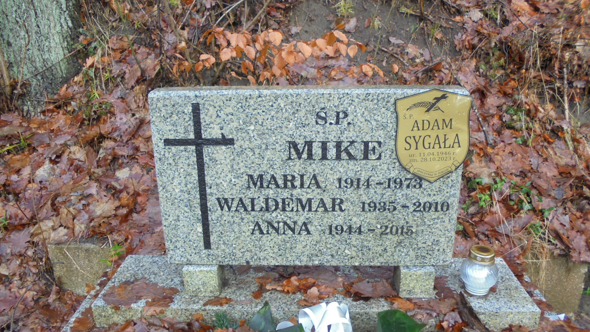 Waldemar Zbigniew MIKE 1936 Gdynia - Grobonet - Wyszukiwarka osób pochowanych