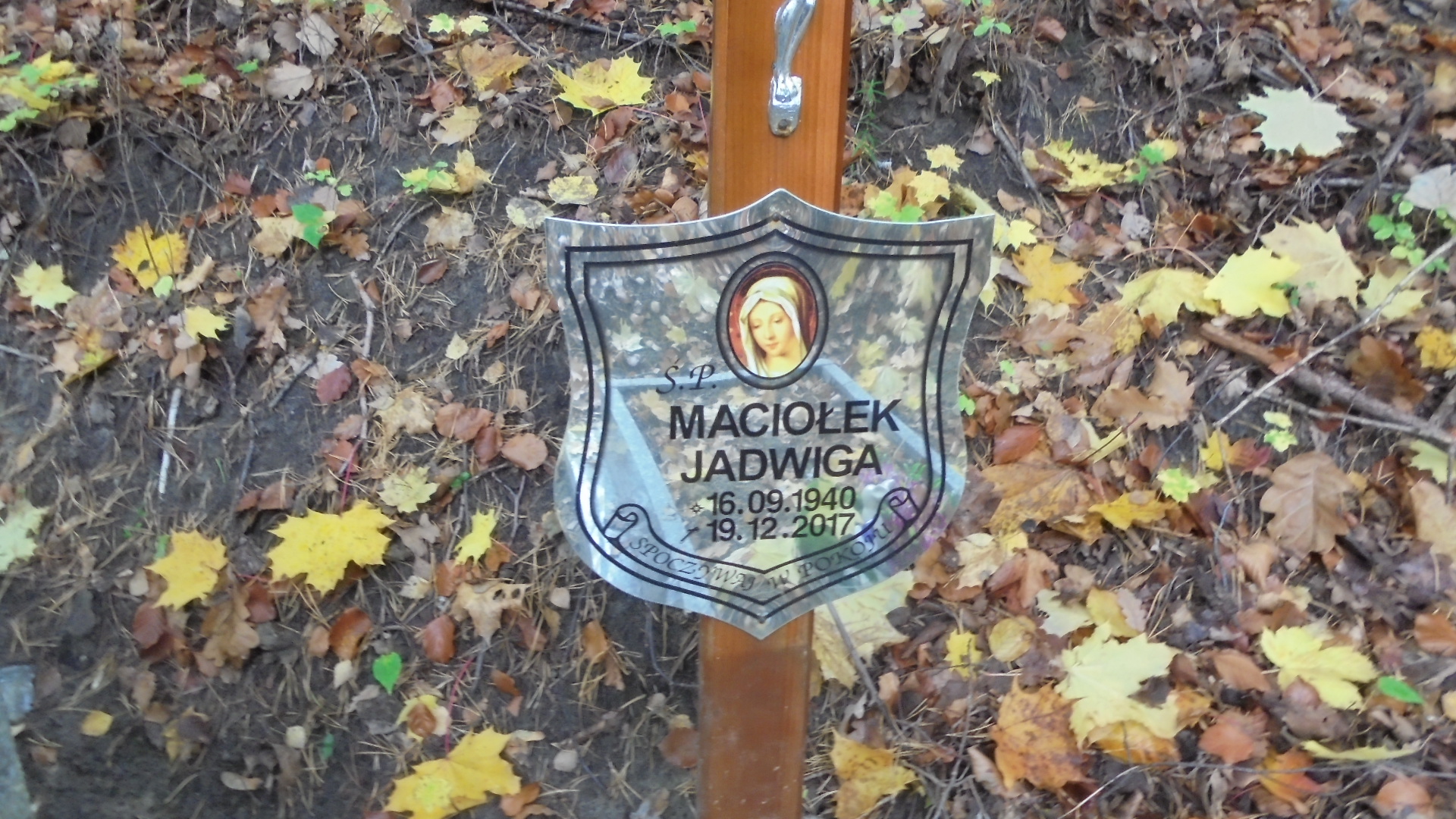 Agnieszka OLSZANOWICZ Gdynia - Grobonet - Wyszukiwarka osób pochowanych