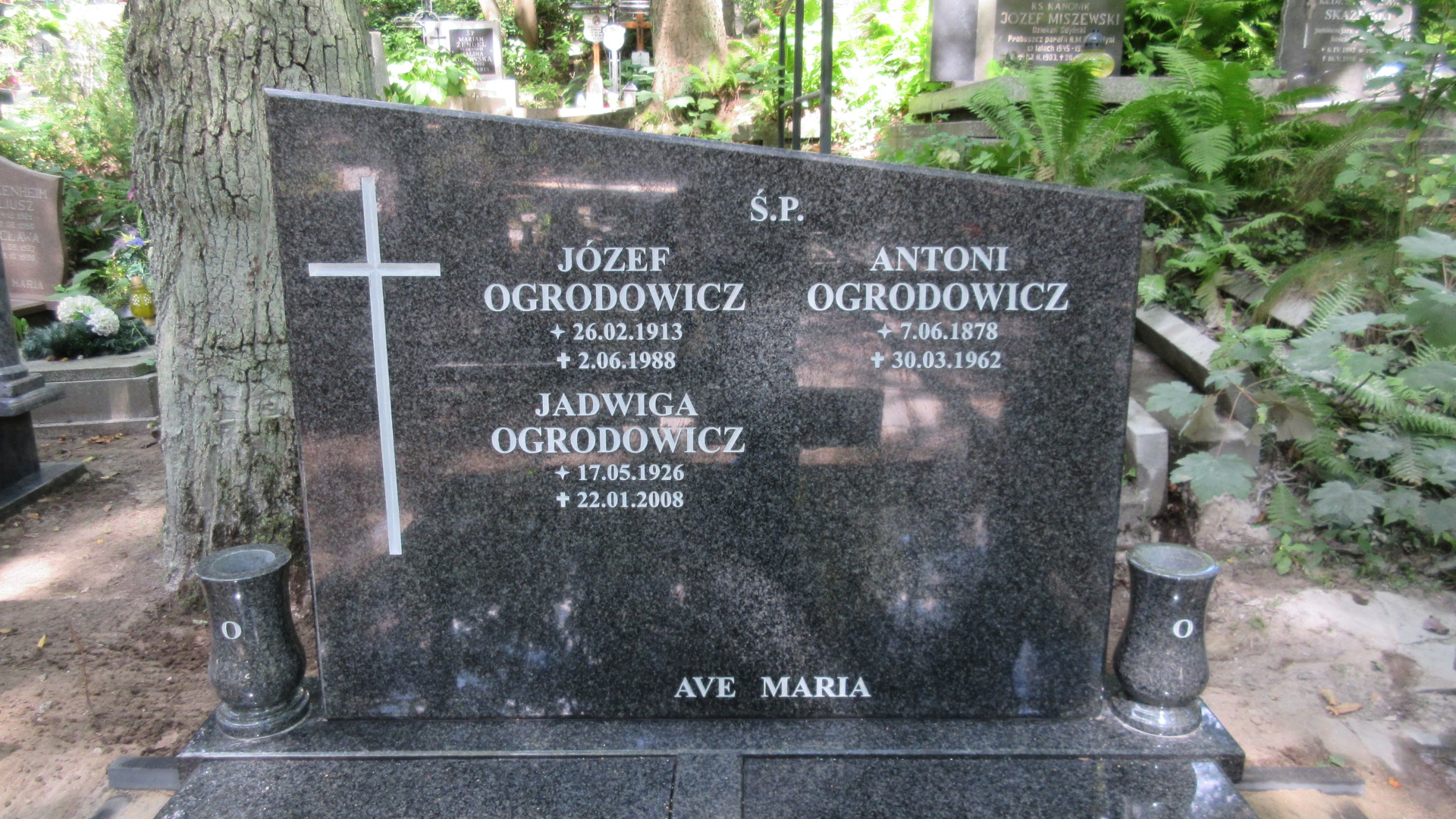 Jadwiga Wanda OGRODOWICZ 1926 Gdynia - Grobonet - Wyszukiwarka osób pochowanych