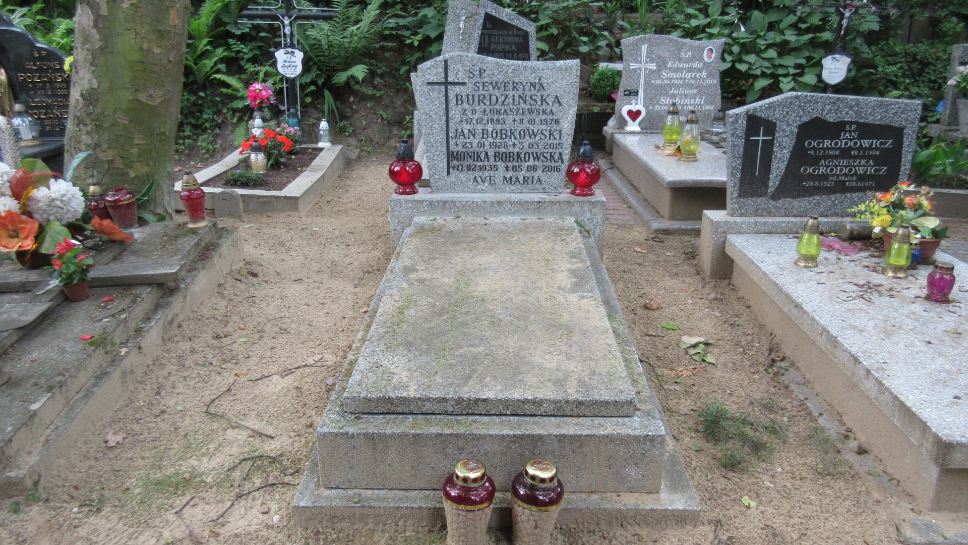 Monika ŁUKASZEWSKA Gdynia - Grobonet - Wyszukiwarka osób pochowanych