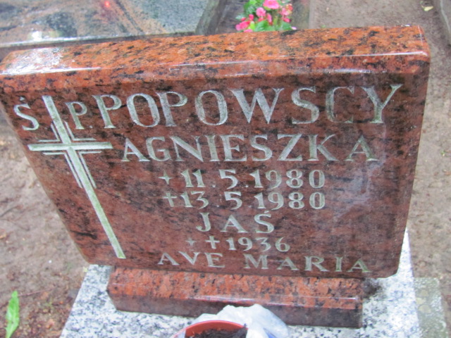 Agnieszka POPOWSKA 1980 Gdynia - Grobonet - Wyszukiwarka osób pochowanych