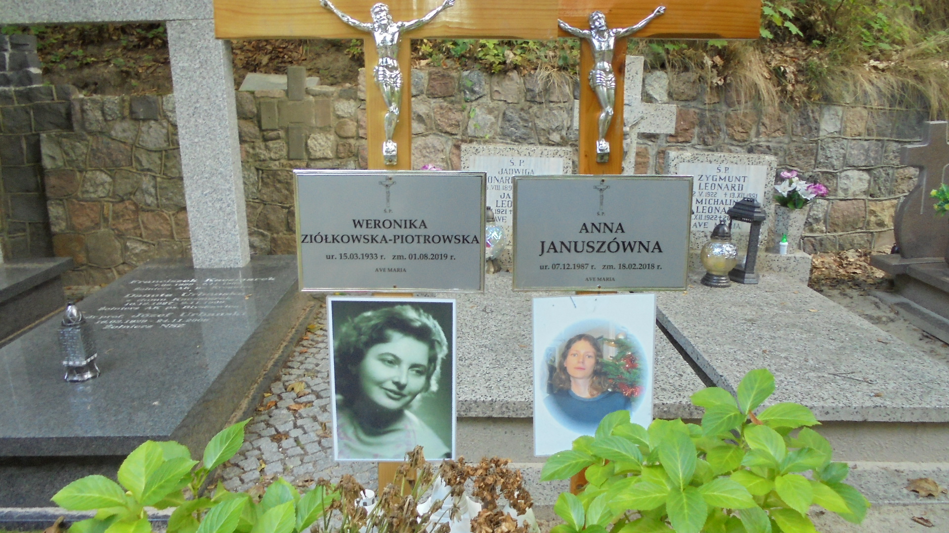 Janusz Wojciech PIOTROWSKI 1938 Gdynia - Grobonet - Wyszukiwarka osób pochowanych