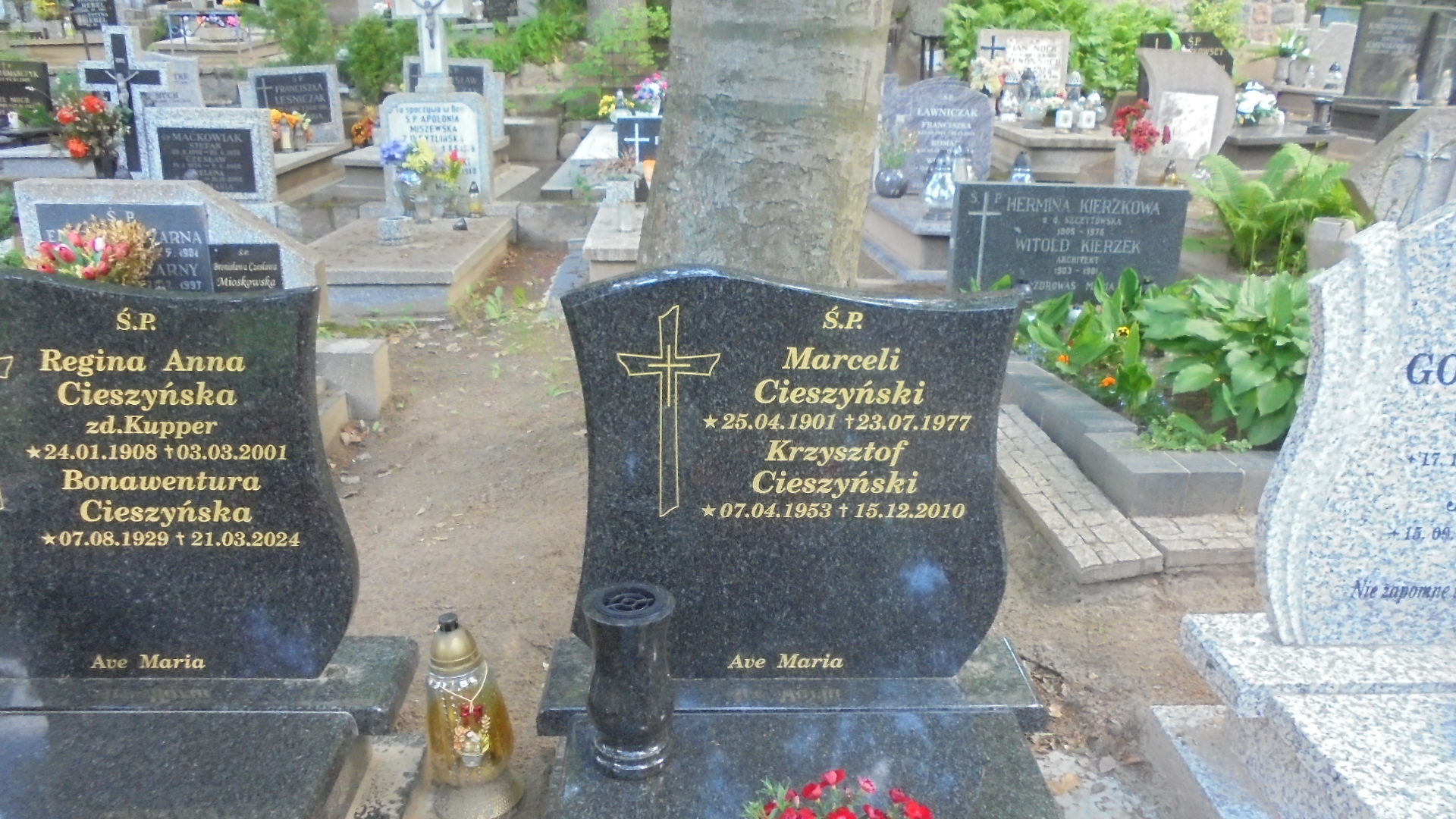 KRZYSZTOF MARCELI CIESZYŃSKI 1953 Gdynia - Grobonet - Wyszukiwarka osób pochowanych