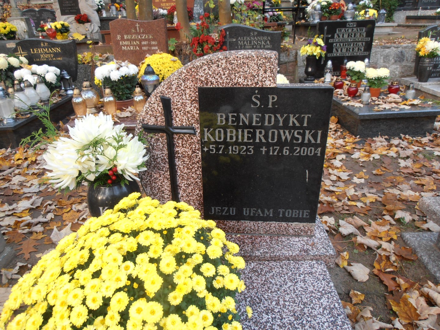 Benedykt KOBIEROWSKI 1923 Gdynia - Grobonet - Wyszukiwarka osób pochowanych