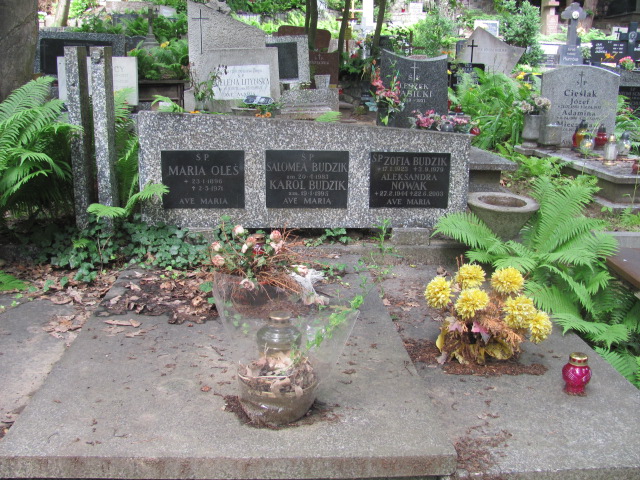 Zofia BUDZIK 1923 Gdynia - Grobonet - Wyszukiwarka osób pochowanych