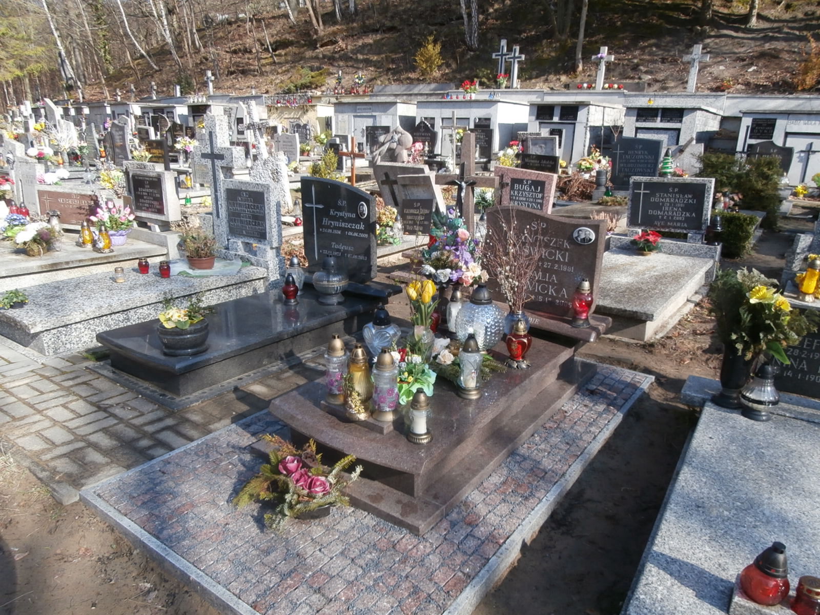 Nadzieja PAŚWICKA 2005 Gdynia - Grobonet - Wyszukiwarka osób pochowanych