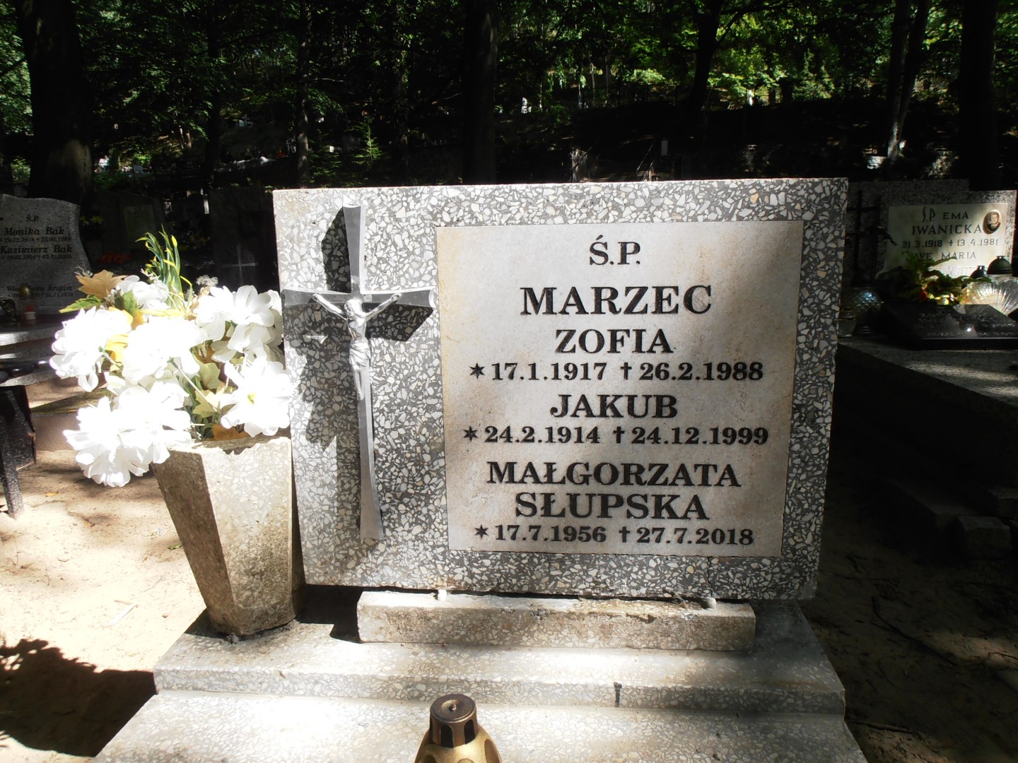 Zofia MARZEC 1917 Gdynia - Grobonet - Wyszukiwarka osób pochowanych