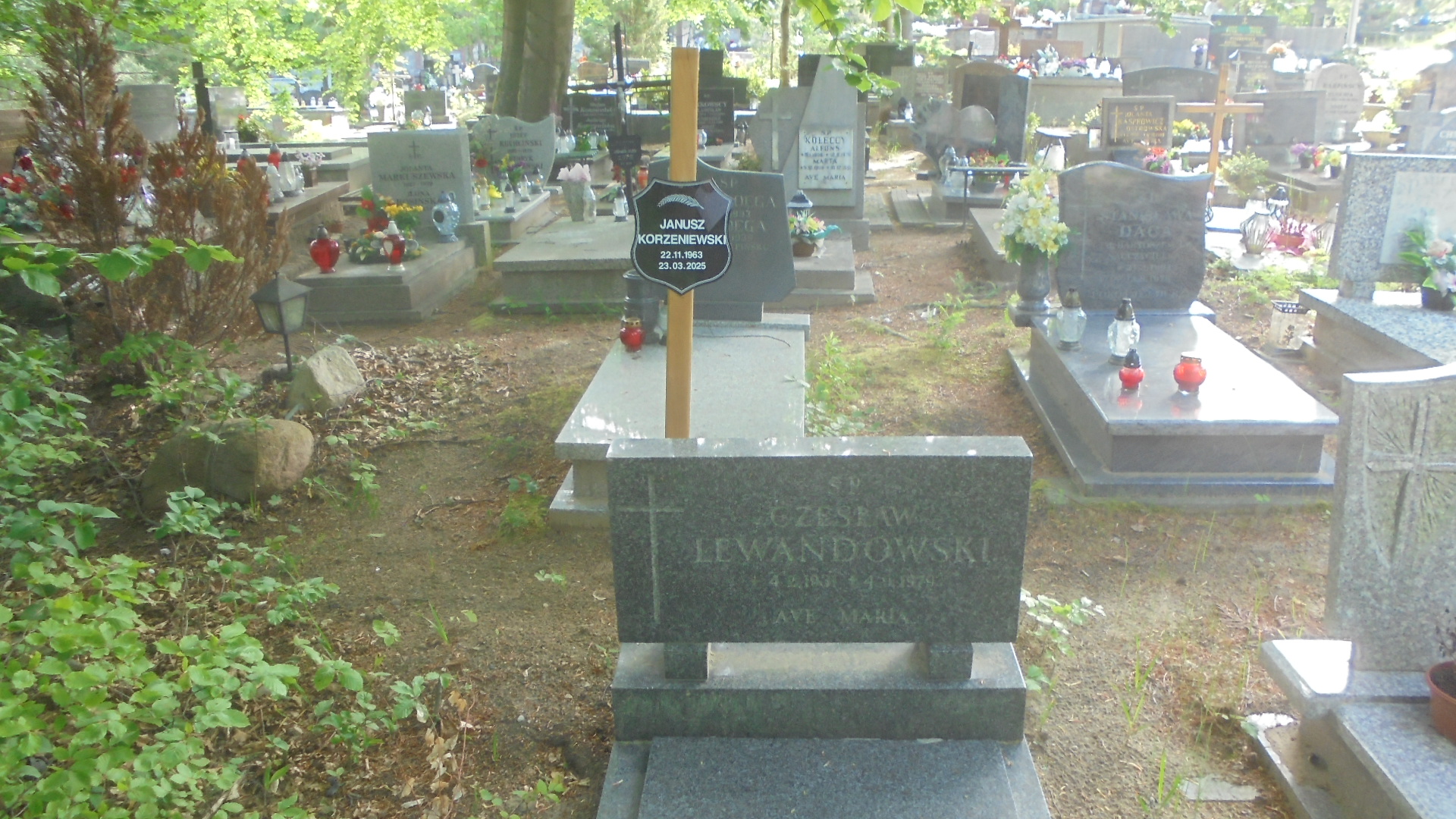 Czesław LEWANDOWSKI 1931 Gdynia - Grobonet - Wyszukiwarka osób pochowanych