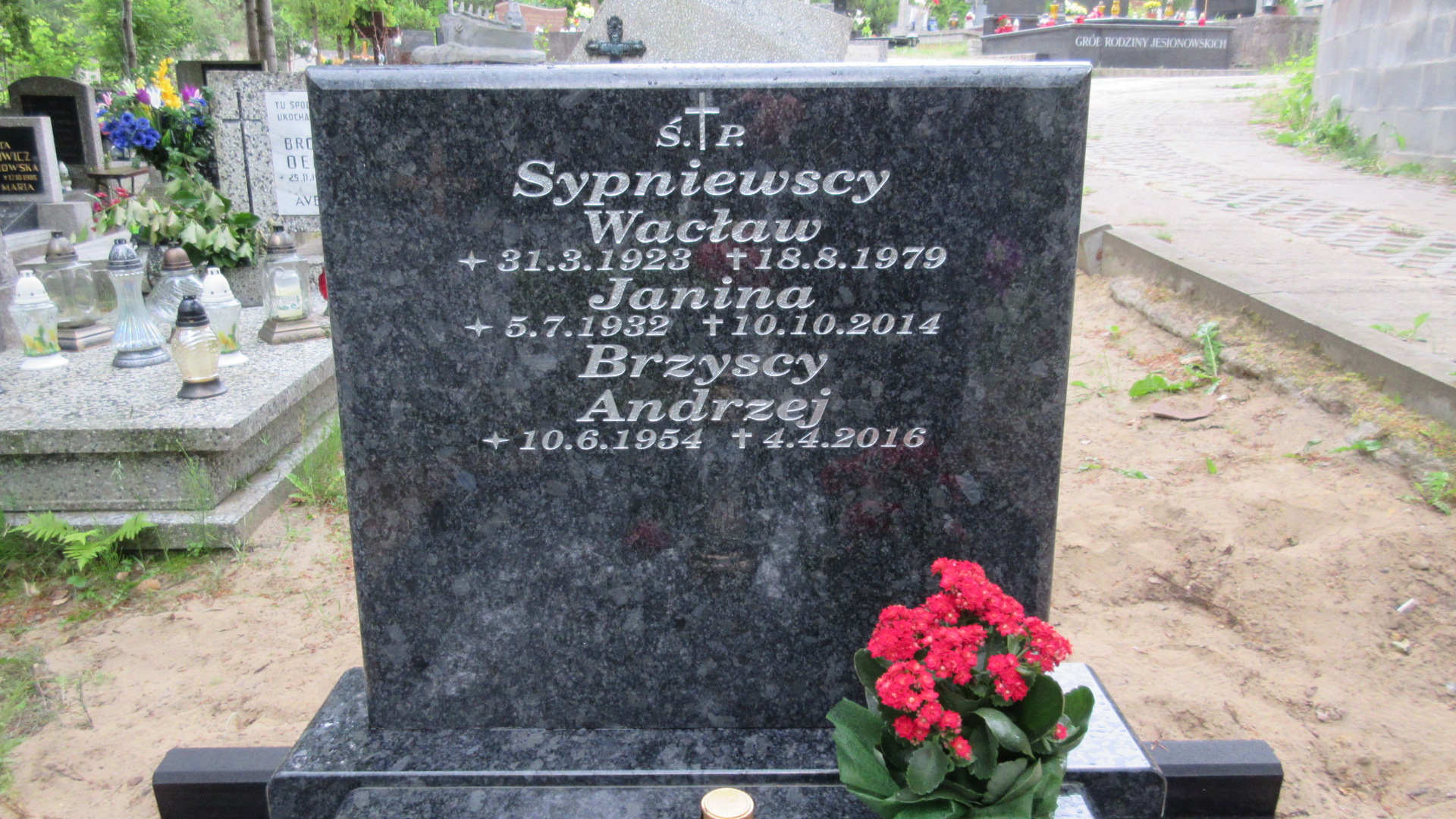 Andrzej BRZYSKI 1954 Gdynia - Grobonet - Wyszukiwarka osób pochowanych