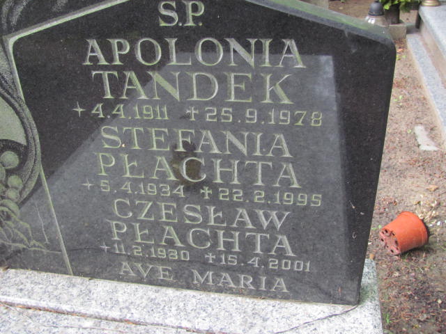 Apolonia TANDEK 1911 Gdynia - Grobonet - Wyszukiwarka osób pochowanych
