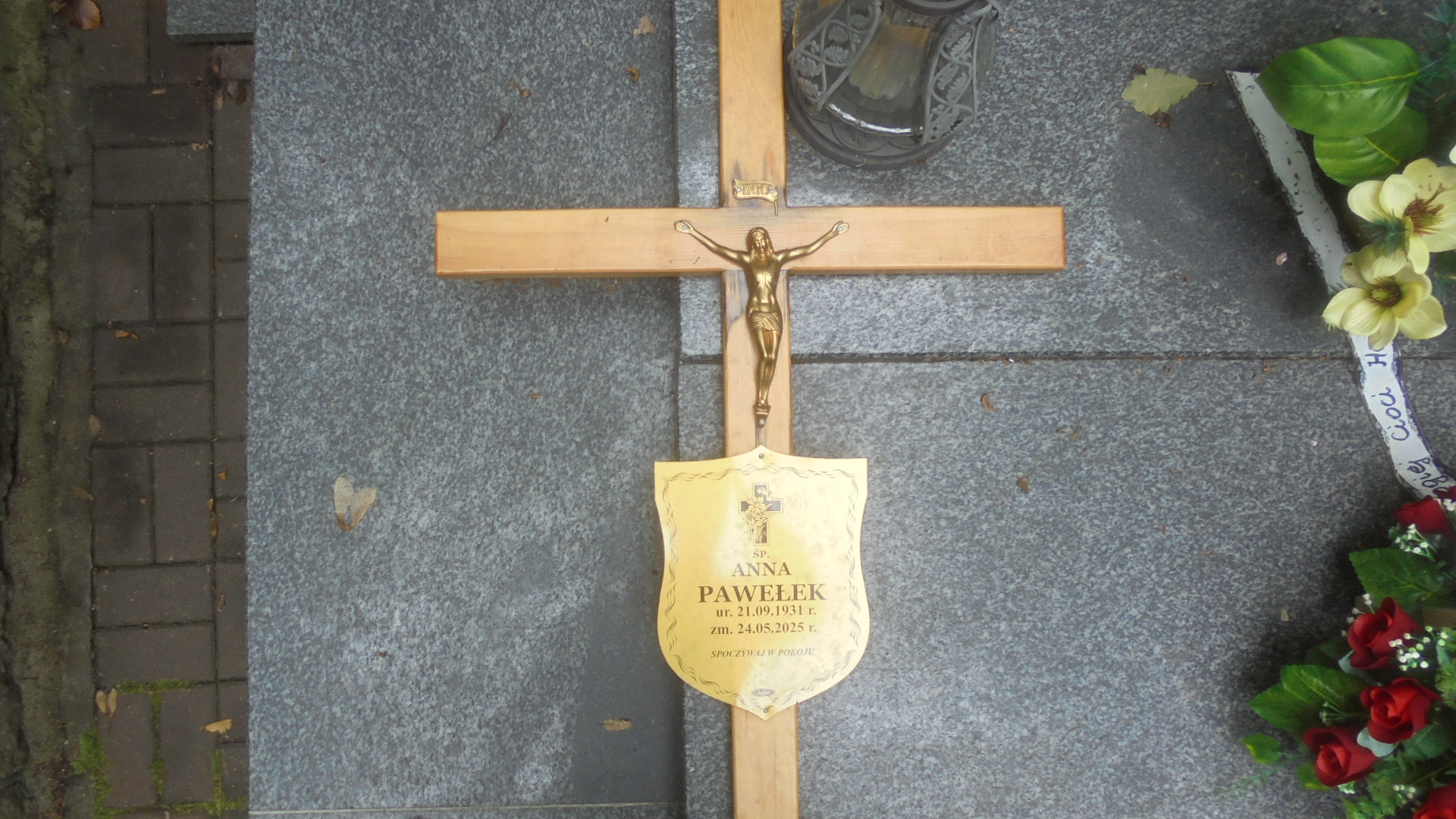 Ewa KRAKOWSKA 1952 Gdynia - Grobonet - Wyszukiwarka osób pochowanych