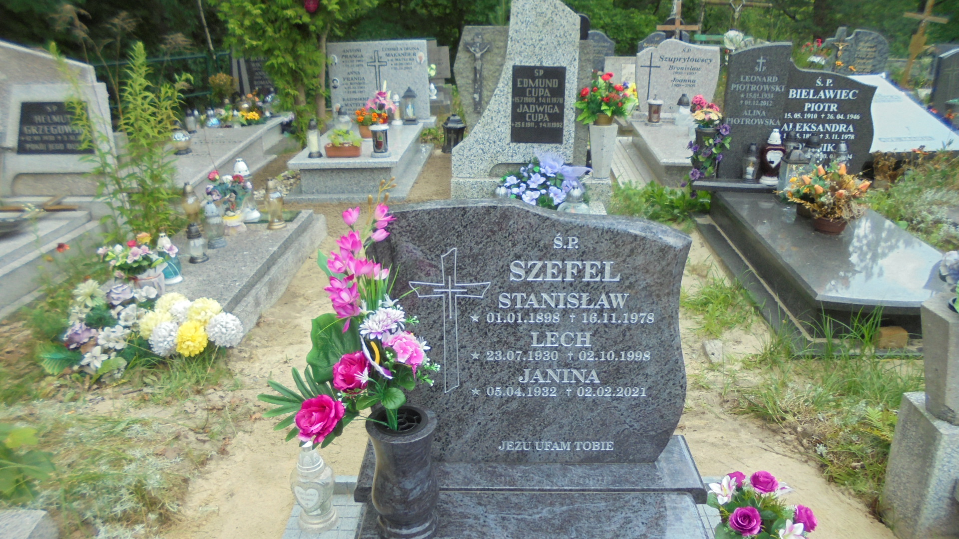 Stanisław SZEFEL Gdynia - Grobonet - Wyszukiwarka osób pochowanych