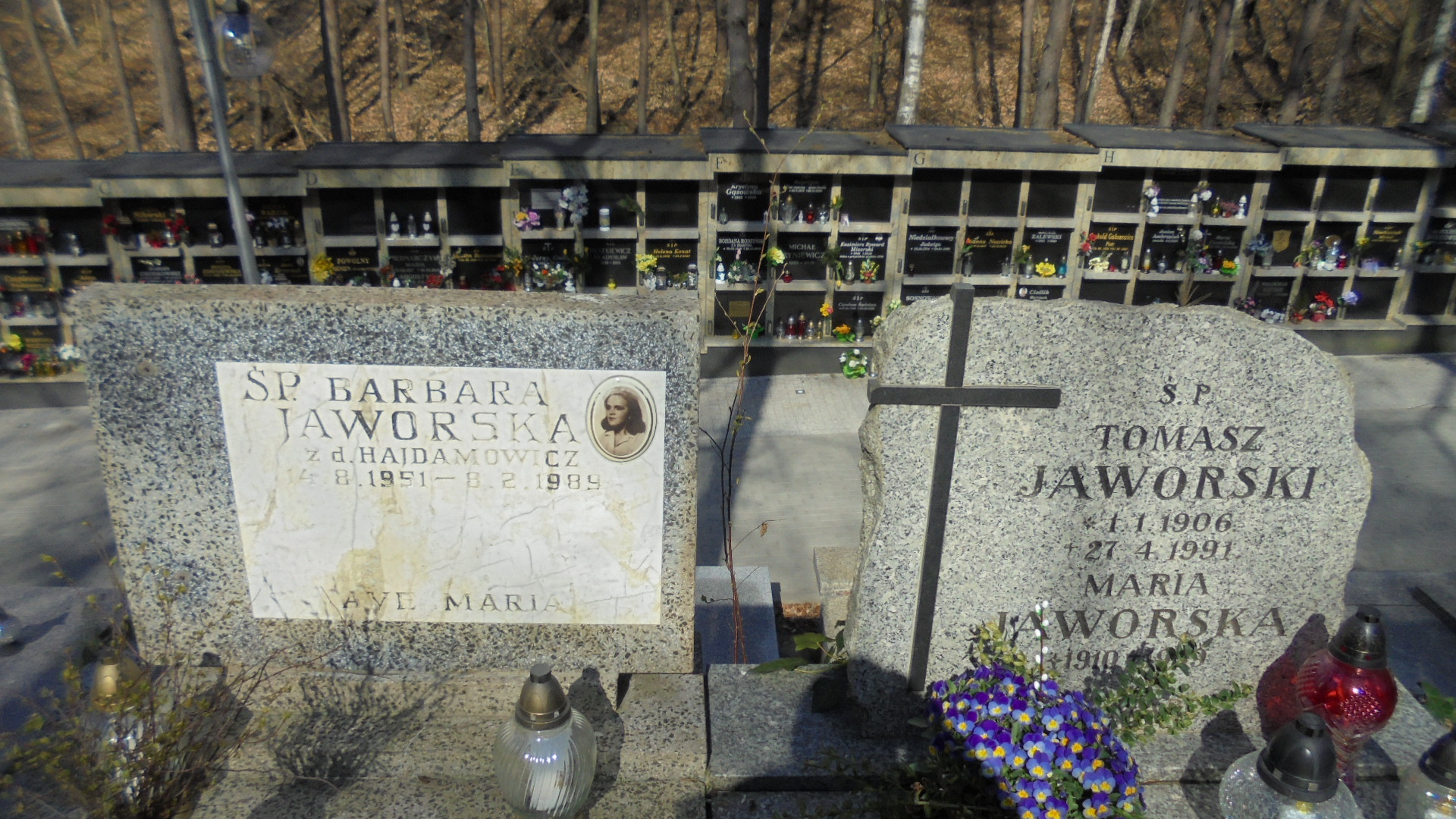 Tomasz JAWORSKI 1906 Gdynia - Grobonet - Wyszukiwarka osób pochowanych