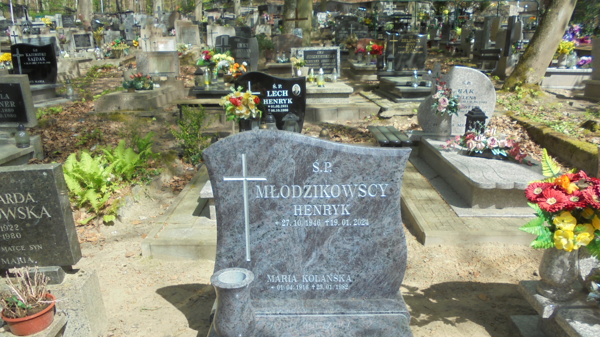 Maria KOLAŃSKA 1916 Gdynia - Grobonet - Wyszukiwarka osób pochowanych