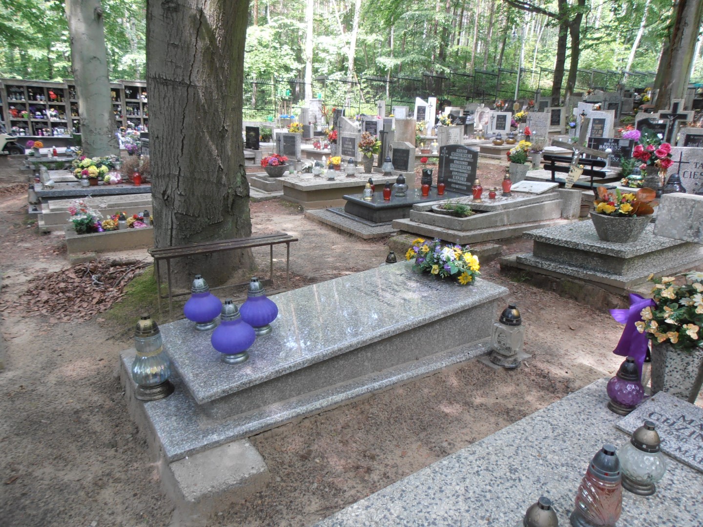 Grób ALICJA KRZEMIŃSKA