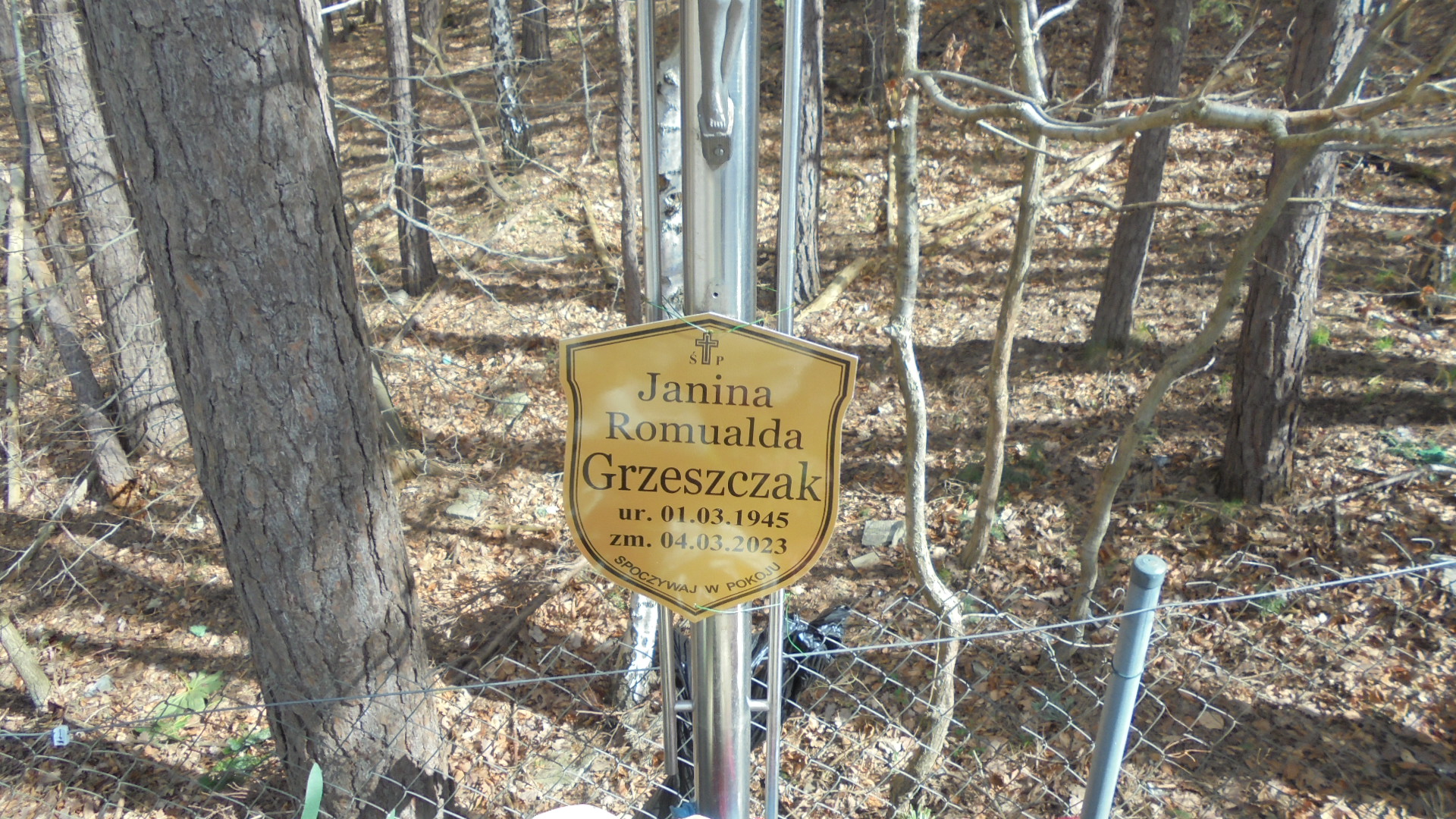 WALENTY ALFRED FRYZOWSKI 1927 Gdynia - Grobonet - Wyszukiwarka osób pochowanych