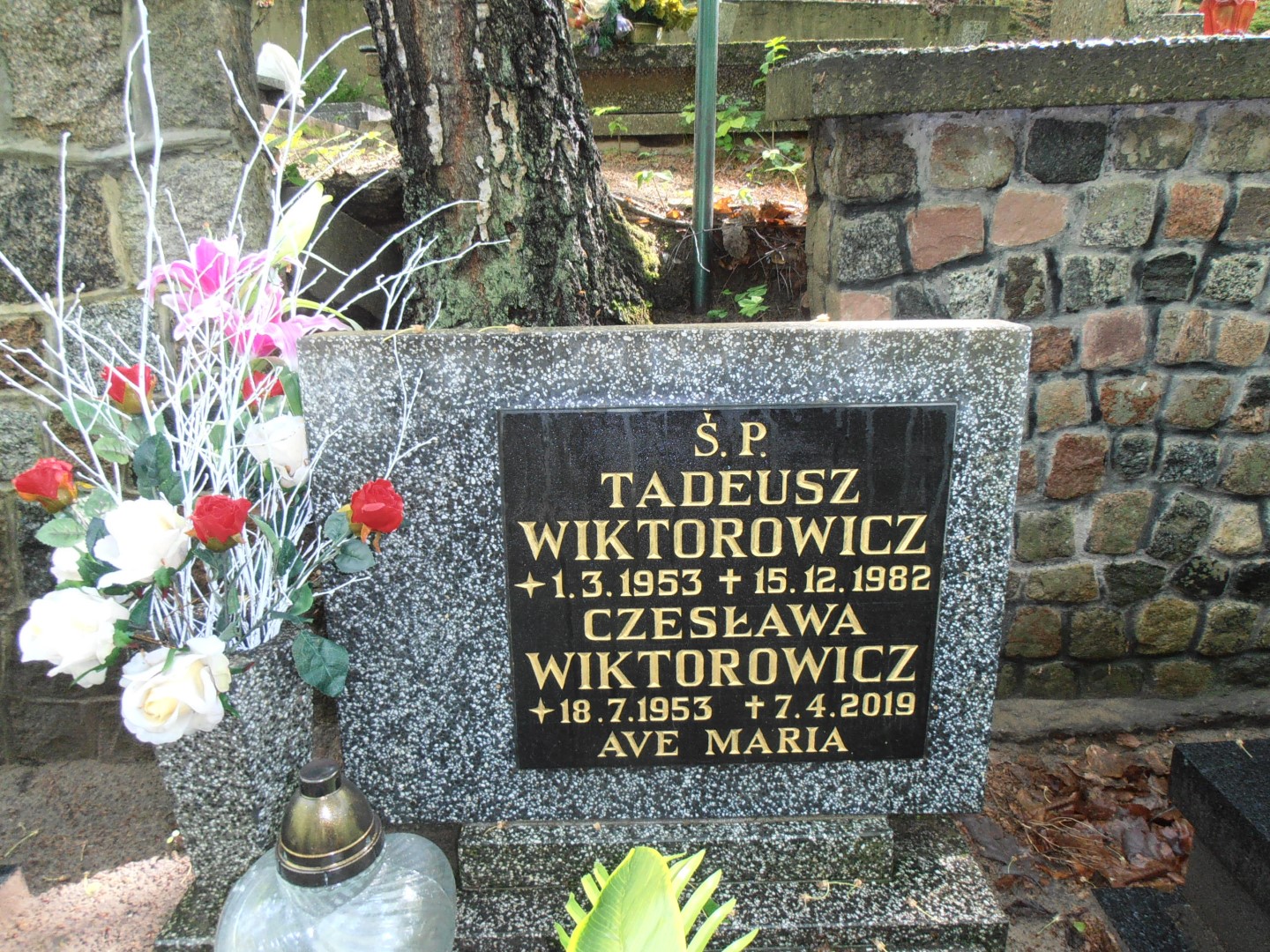 Tadeusz WIKTOROWICZ 1953 Gdynia - Grobonet - Wyszukiwarka osób pochowanych