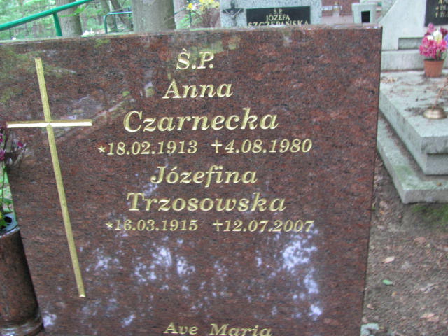 Anna CZARNECKA 1913 Gdynia - Grobonet - Wyszukiwarka osób pochowanych