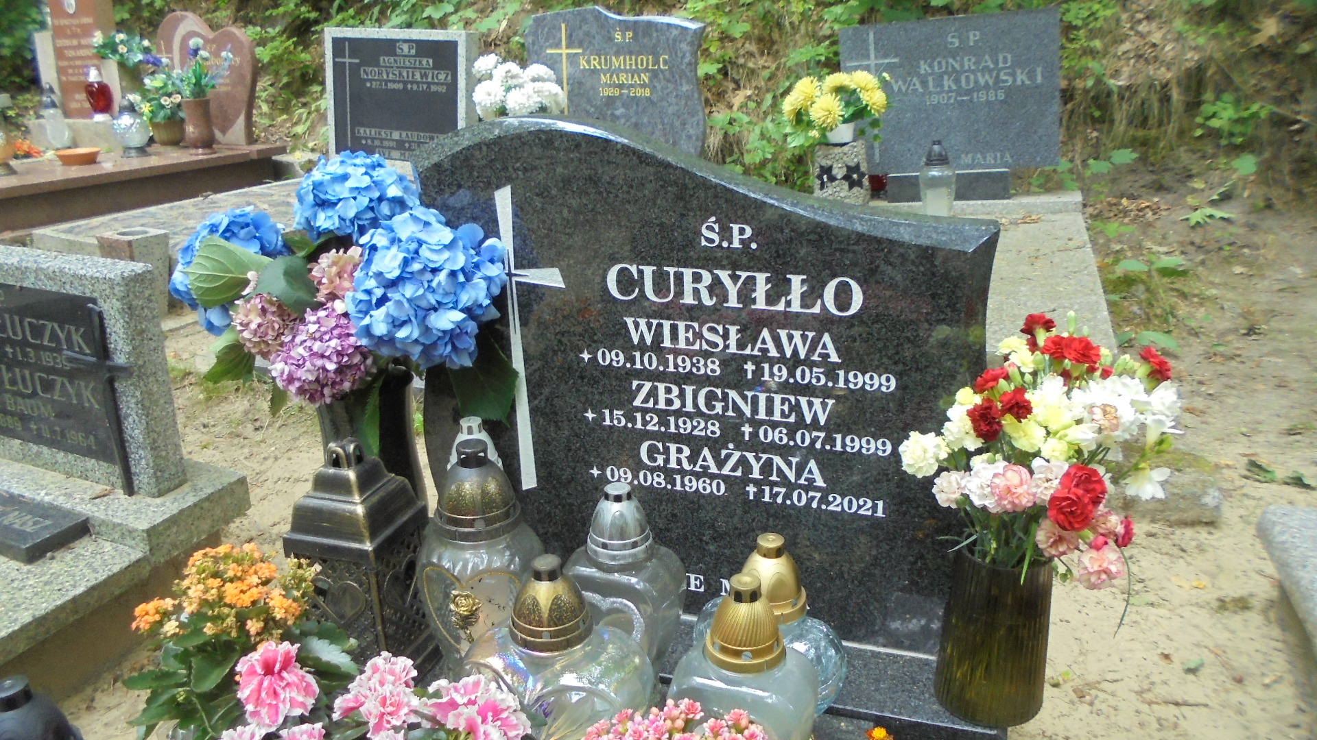 Zbigniew CURYŁŁO 1928 Gdynia - Grobonet - Wyszukiwarka osób pochowanych