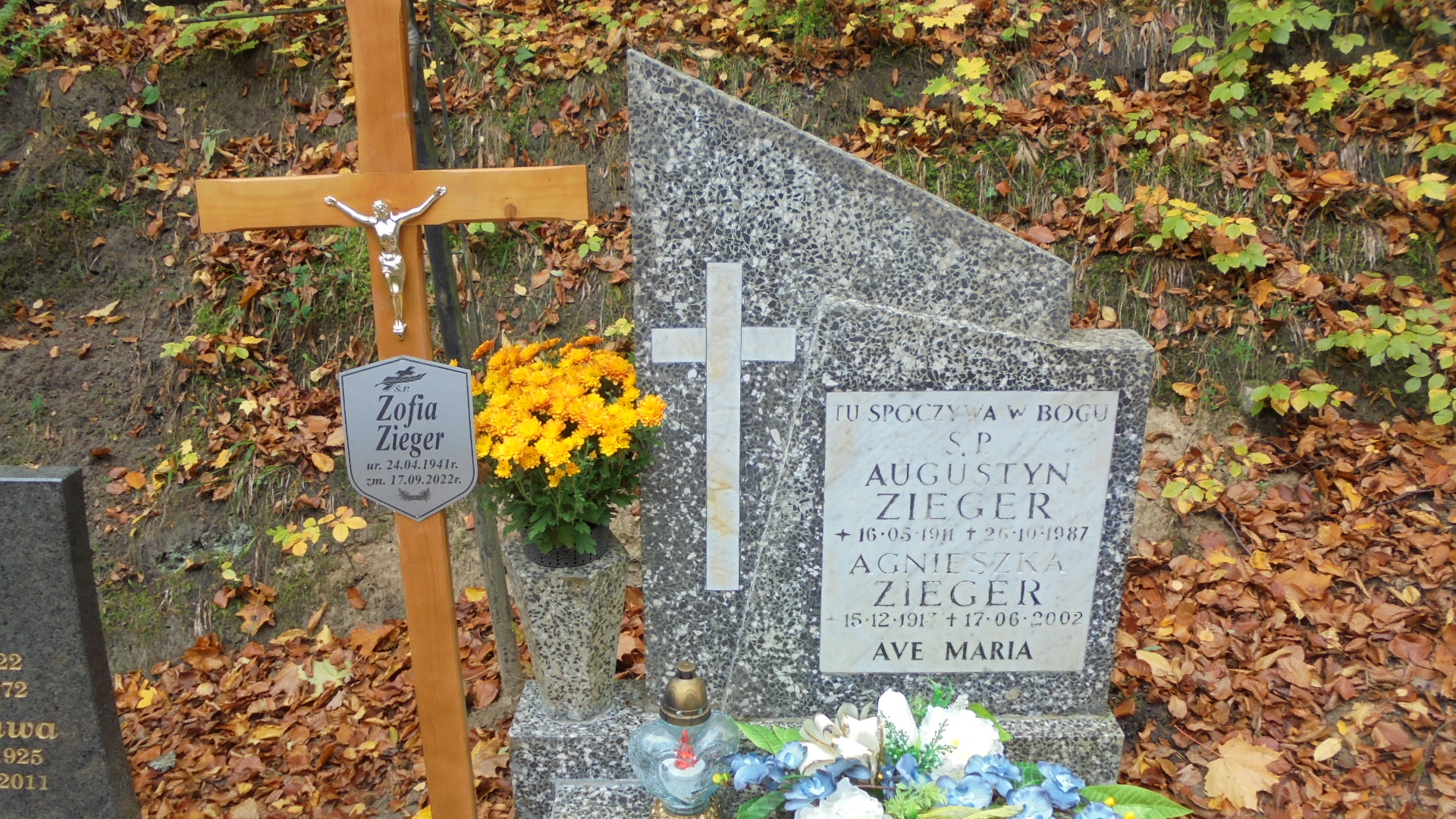 Agnieszka ZIEGER 1913 Gdynia - Grobonet - Wyszukiwarka osób pochowanych