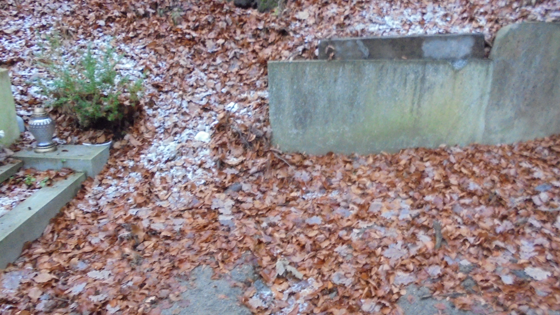 Józefa JAROMIN 1910 Gdynia - Grobonet - Wyszukiwarka osób pochowanych