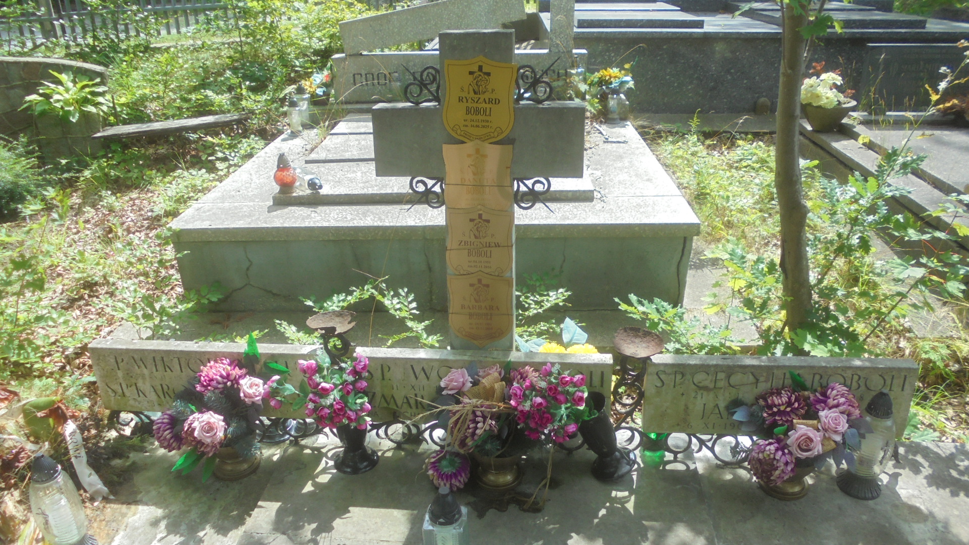 Karolina BOBOLI Gdynia - Grobonet - Wyszukiwarka osób pochowanych