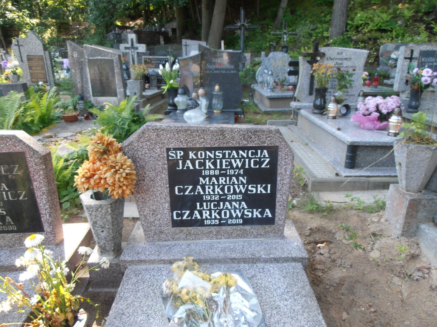 Marian CZARKOWSKI 1932 Gdynia - Grobonet - Wyszukiwarka osób pochowanych