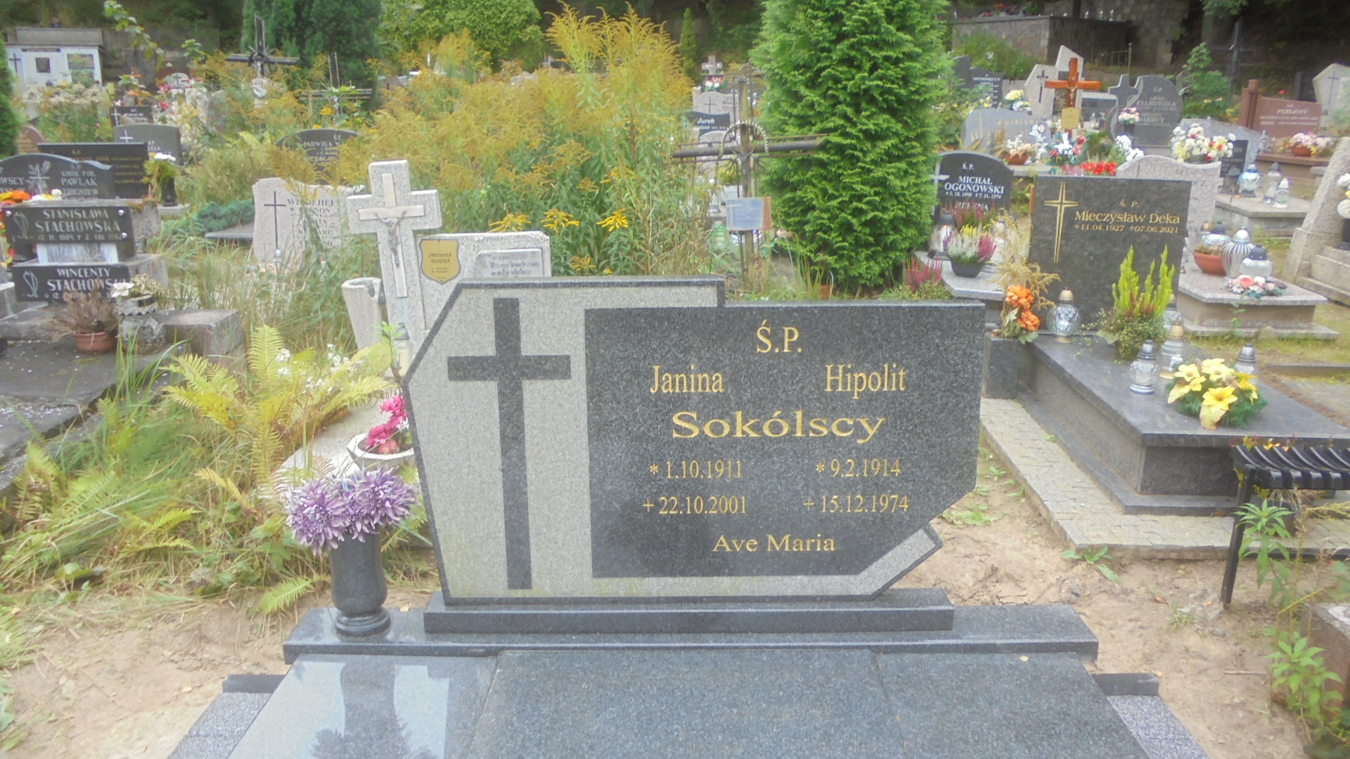 Hipolit SOKÓLSKI 1914 Gdynia - Grobonet - Wyszukiwarka osób pochowanych