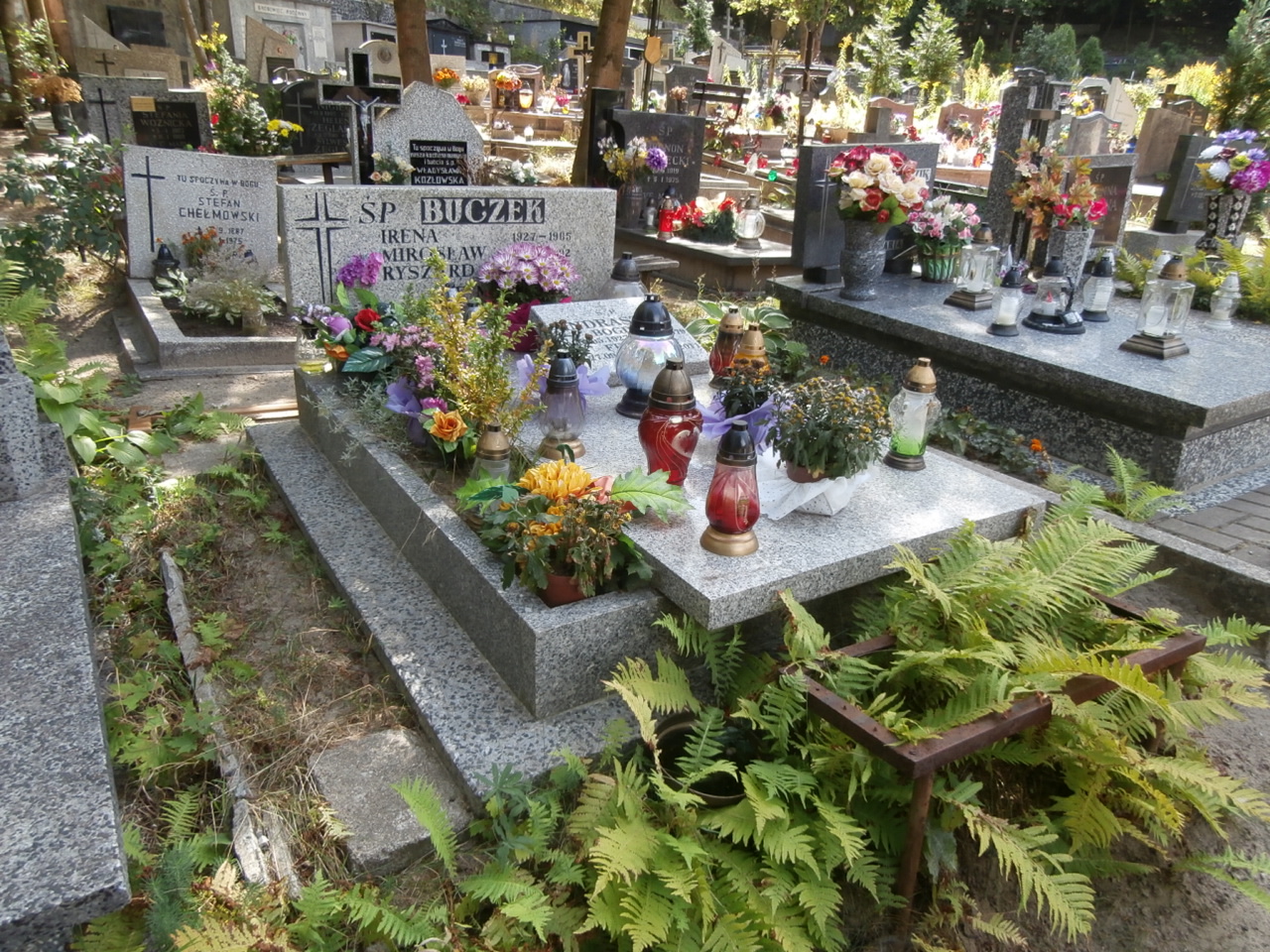 Mirosław BUCZEK 1956 Gdynia - Grobonet - Wyszukiwarka osób pochowanych