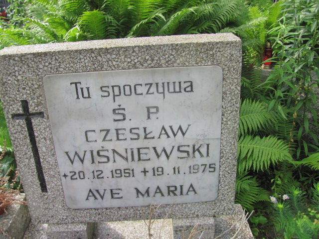 Czesław WIŚNIEWSKI 1951 Gdynia - Grobonet - Wyszukiwarka osób pochowanych