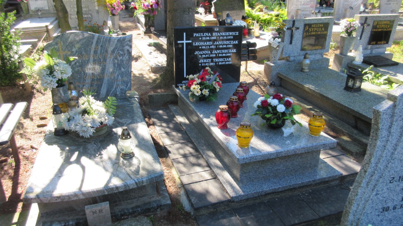 Jerzy TRZECIAK 1951 Gdynia - Grobonet - Wyszukiwarka osób pochowanych