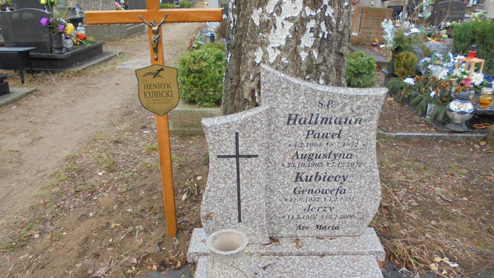 GENOWEFA AUGUSTYNA KUBICKA 1932 Gdynia - Grobonet - Wyszukiwarka osób pochowanych