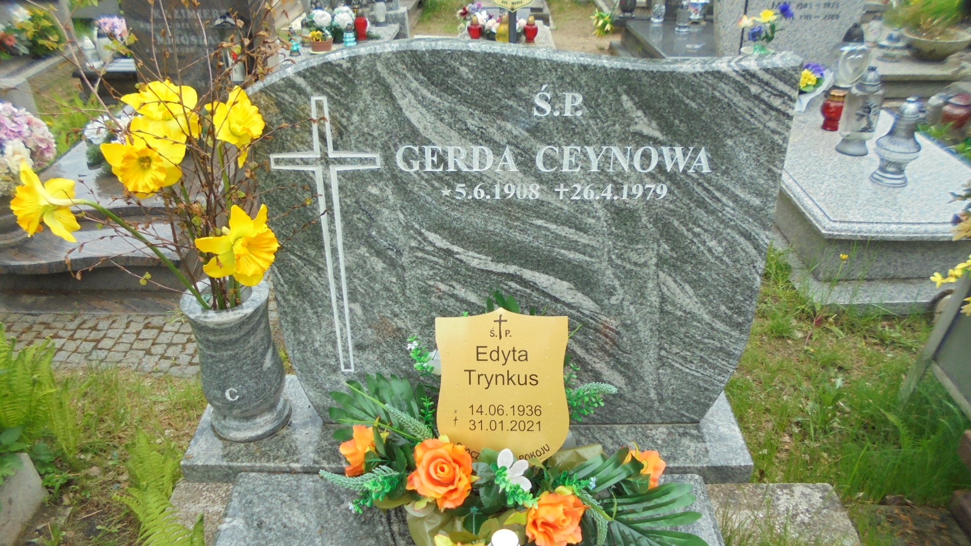 Jan ŻYWICKI 1907 Gdynia - Grobonet - Wyszukiwarka osób pochowanych