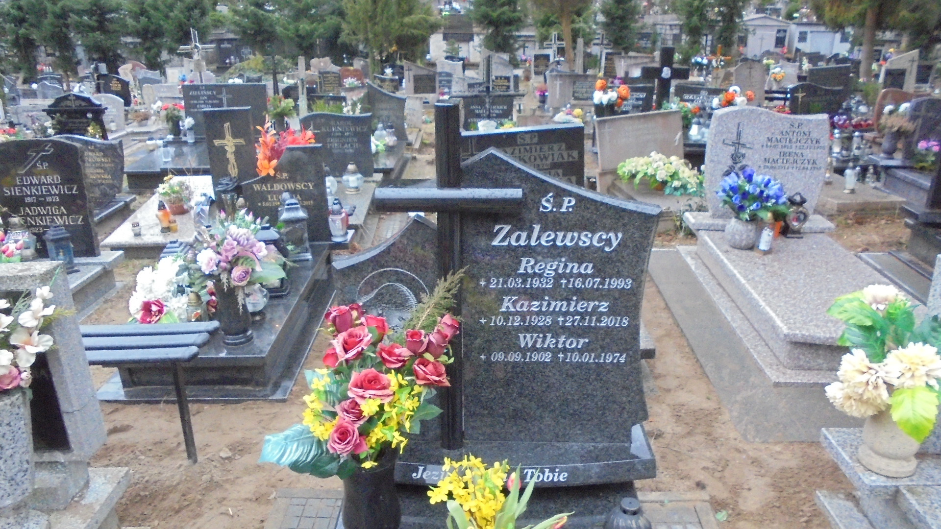 Wiktor ZALEWSKI 1902 Gdynia - Grobonet - Wyszukiwarka osób pochowanych