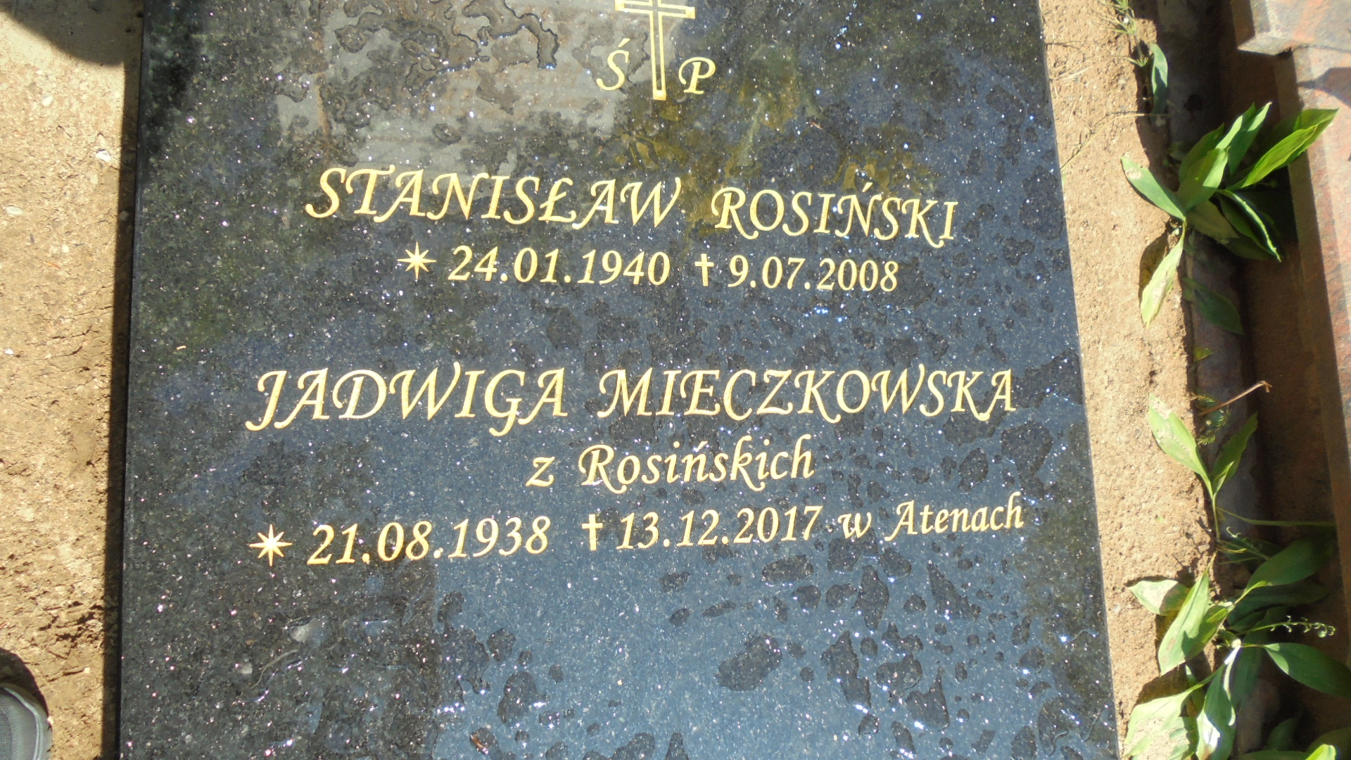 Anna PIETRYKIEWICZ 1907 Gdynia - Grobonet - Wyszukiwarka osób pochowanych