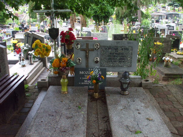 Teresa MOZDRZEŃ 1937 Gdynia - Grobonet - Wyszukiwarka osób pochowanych