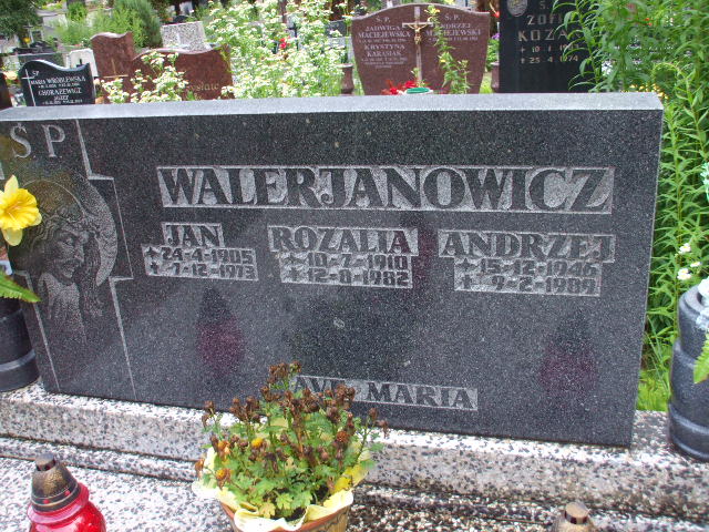 Andrzej WALERIANOWICZ 1946 Gdynia - Grobonet - Wyszukiwarka osób pochowanych