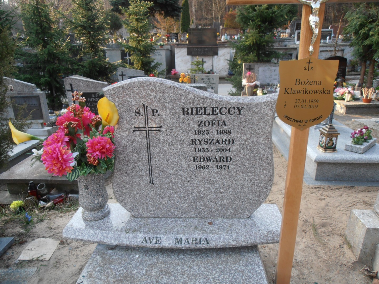 Zofia BIELECKA 1925 Gdynia - Grobonet - Wyszukiwarka osób pochowanych