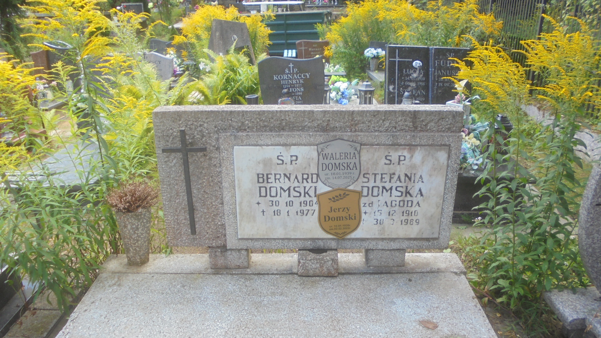 Stefania DOMSKA 1910 Gdynia - Grobonet - Wyszukiwarka osób pochowanych