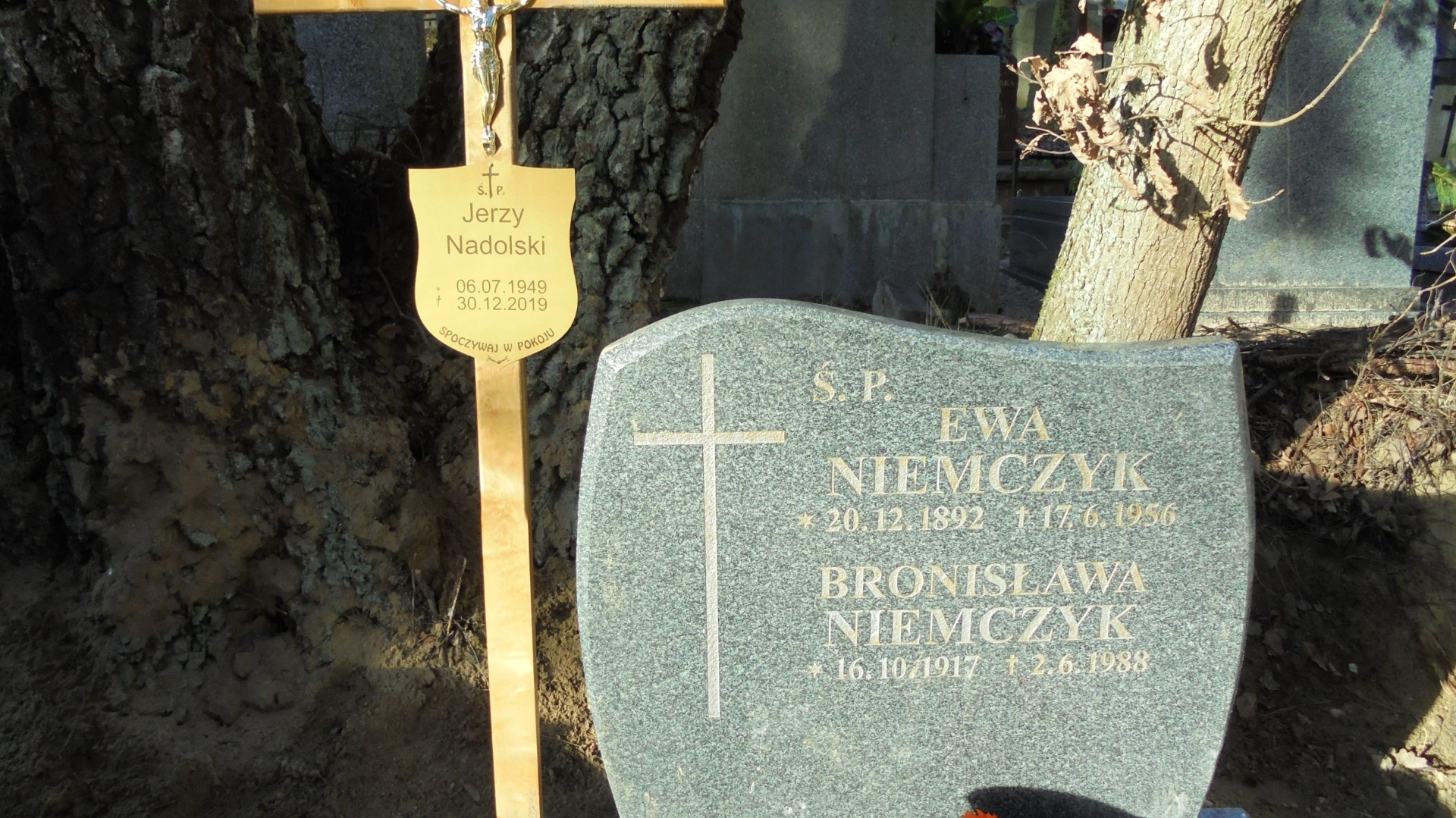 Ewa NIEMCZYK 1881 Gdynia - Grobonet - Wyszukiwarka osób pochowanych