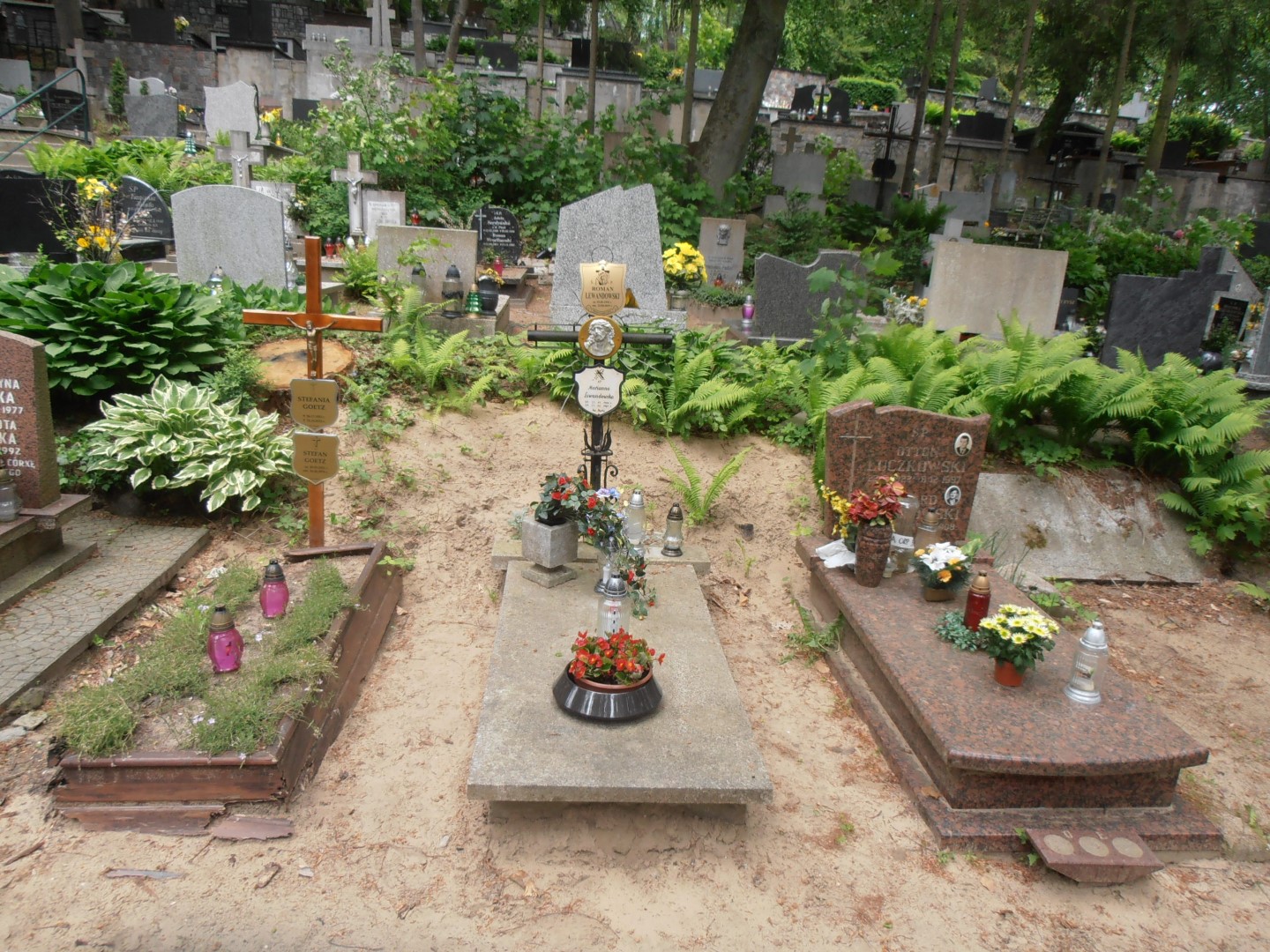 Grób ROMAN LEWANDOWSKI