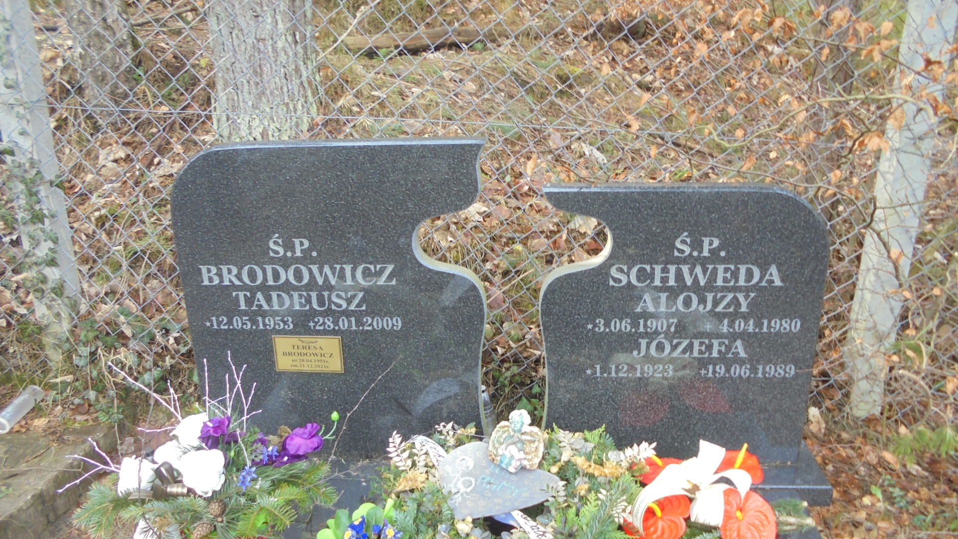 Alojzy SCHWEDA 1907 Gdynia - Grobonet - Wyszukiwarka osób pochowanych