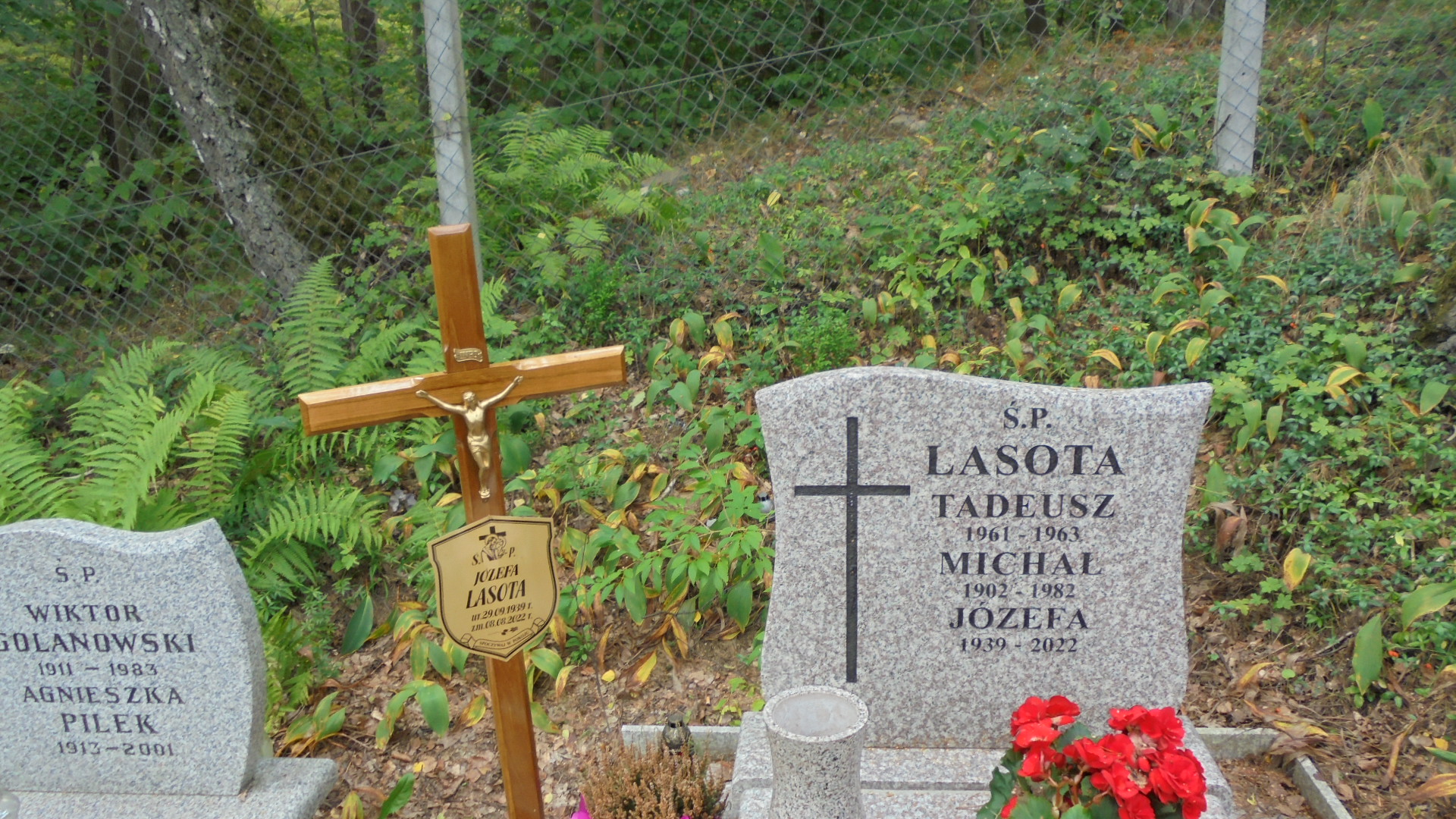 Michał LASOTA 1902 Gdynia - Grobonet - Wyszukiwarka osób pochowanych