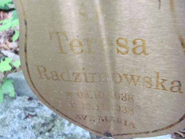 Marian RADZIMOWSKI 1935 Gdynia - Grobonet - Wyszukiwarka osób pochowanych